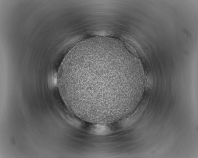 X0000111860095200908061344