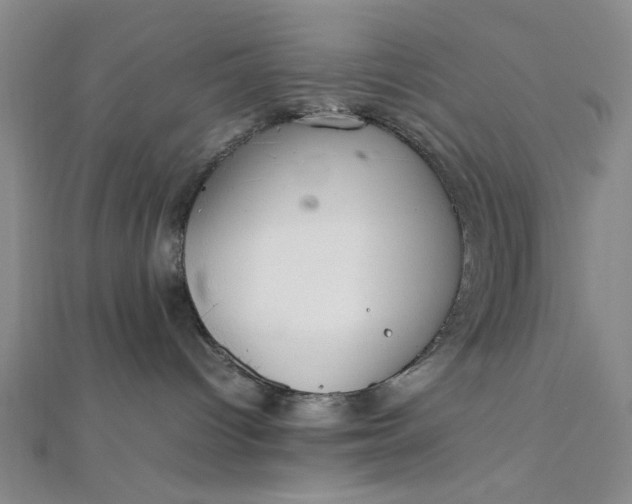 X0000111860096200908061344