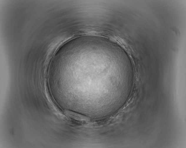 X0000111860097200908061344