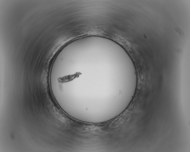 X0000111860098200908061344