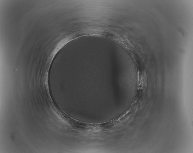 X0000111860099200908061344