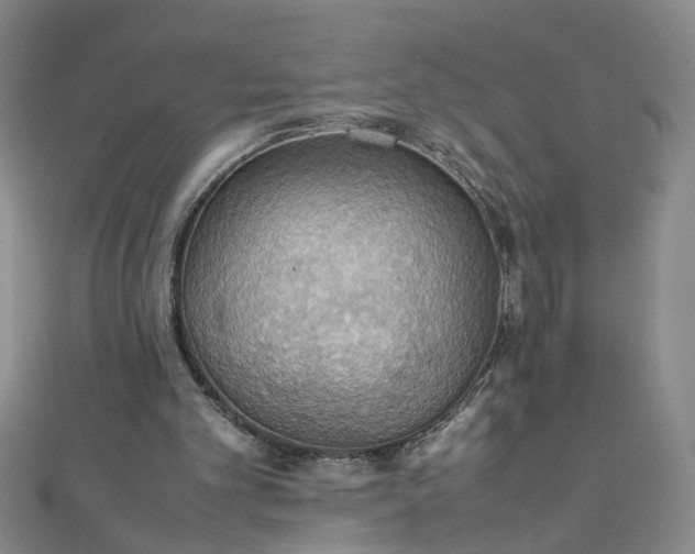 X0000111860101200908061344