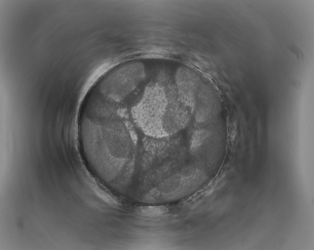 X0000111860102200908061344