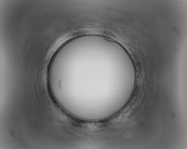 X0000111860103200908061344