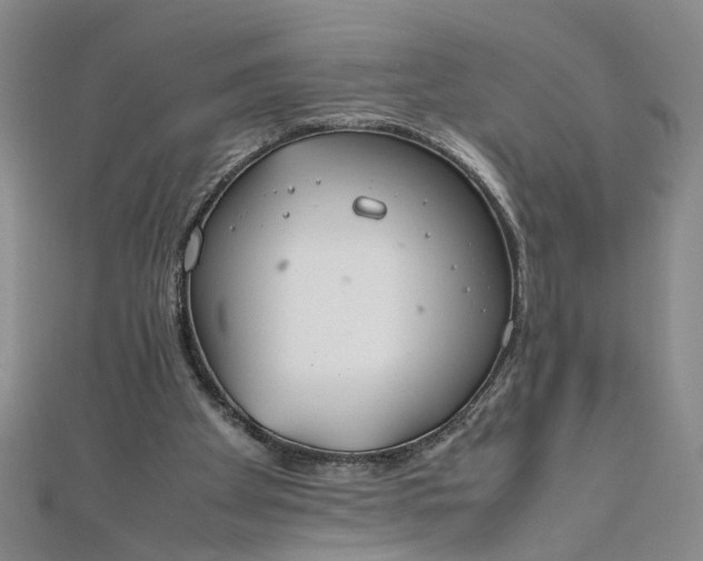 X0000111860105200908061344