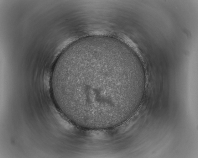 X0000111860106200908061344