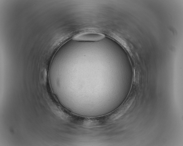 X0000111860109200908061344