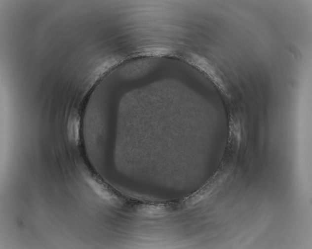 X0000111860110200908061344