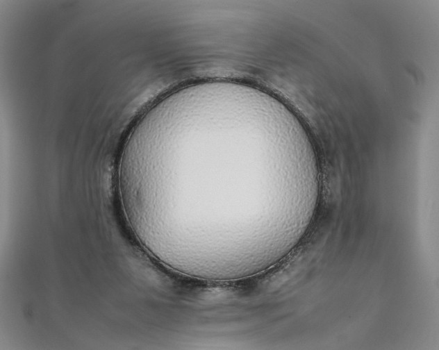 X0000111860111200908061344