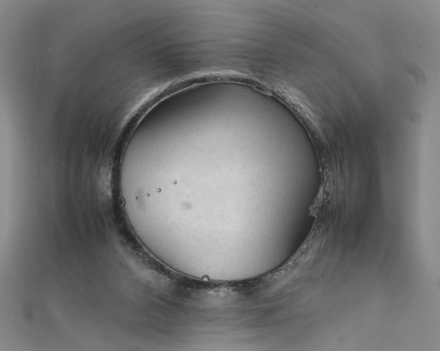 X0000111860112200908061344