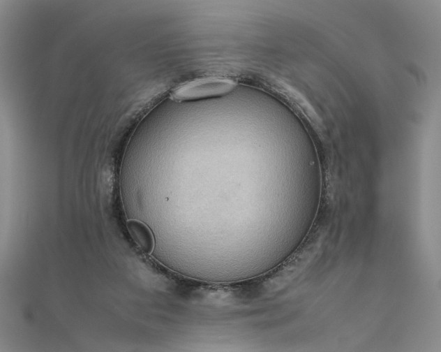 X0000111860113200908061344