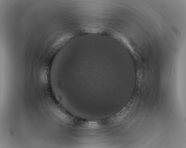 X0000111860114200908061344