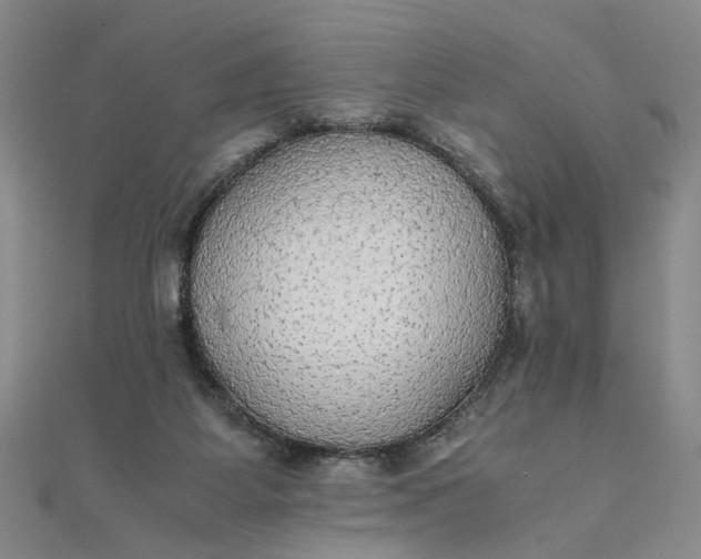 X0000111860115200908061344