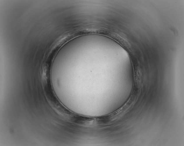 X0000111860116200908061344