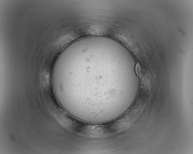 X0000111860117200908061344