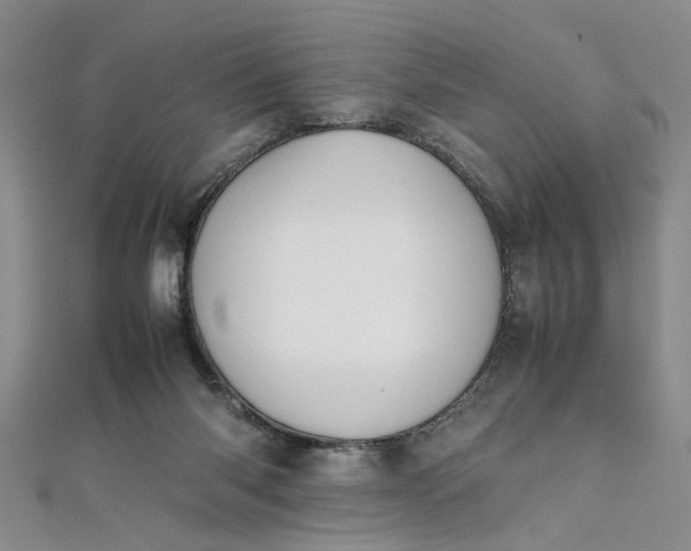 X0000111860118200908061344