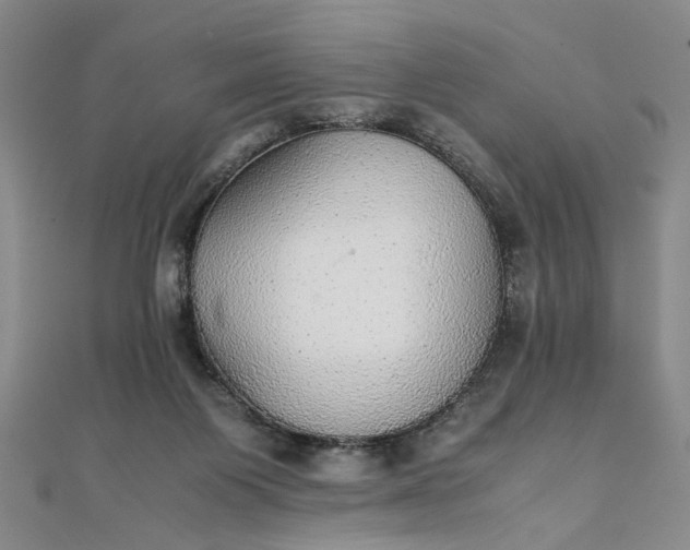 X0000111860119200908061344