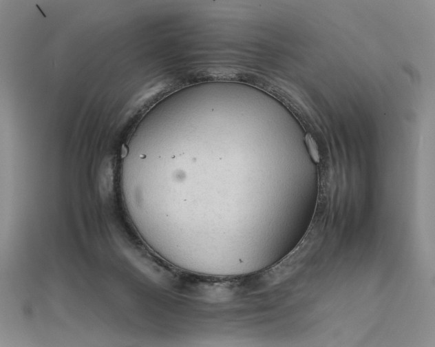 X0000111860120200908061344