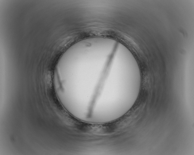 X0000111860121200908061344