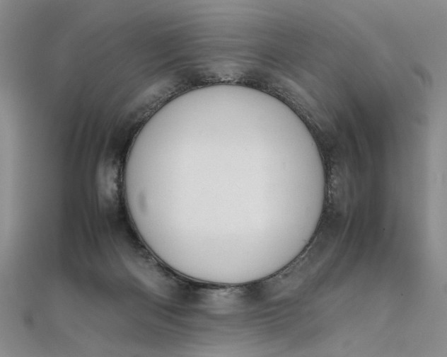 X0000111860122200908061343