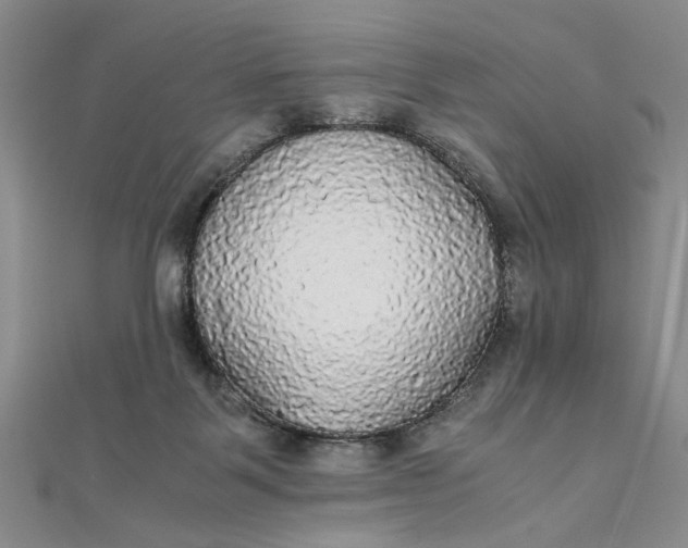 X0000111860123200908061343