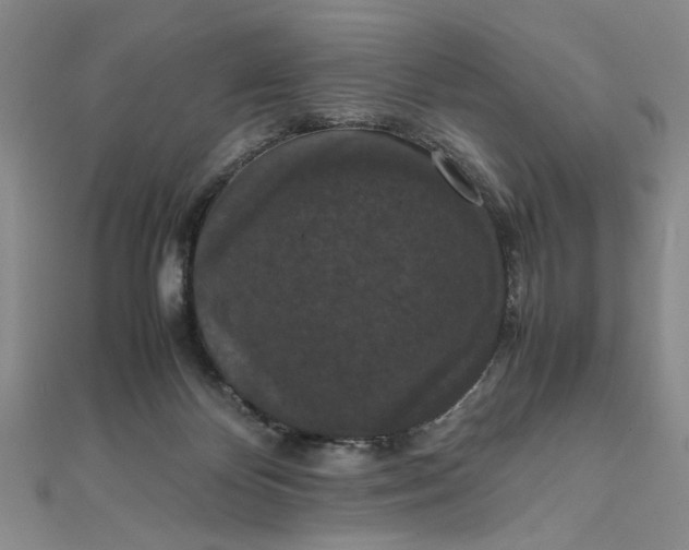 X0000111860124200908061343