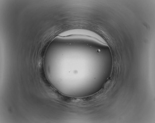 X0000111860125200908061343