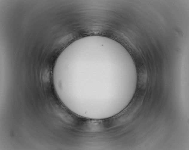 X0000111860126200908061343