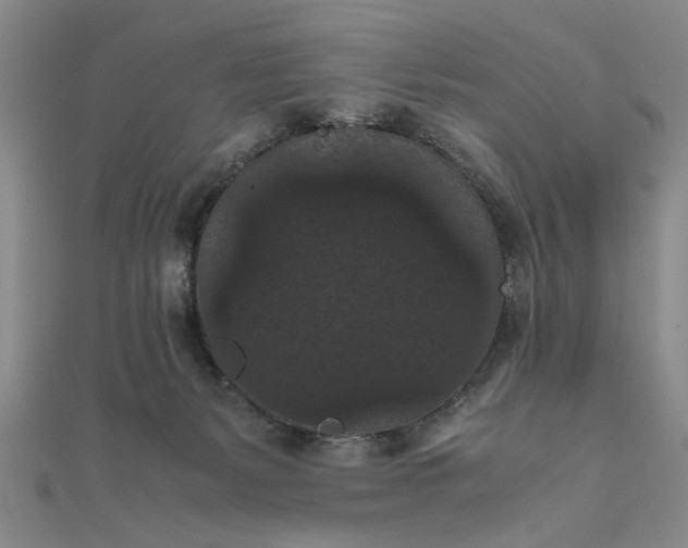 X0000111860127200908061343