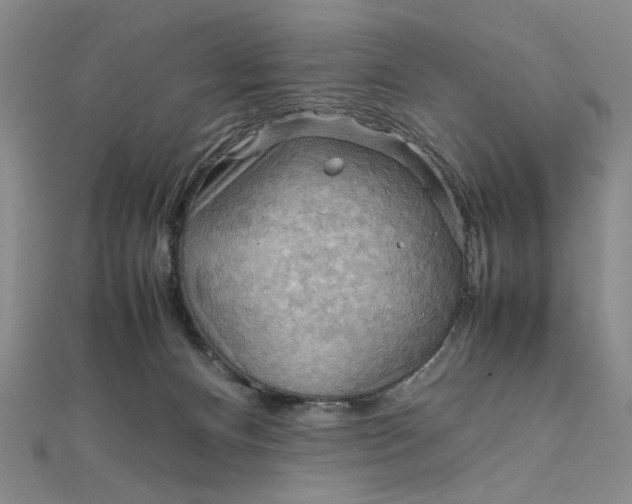 X0000111860128200908061343