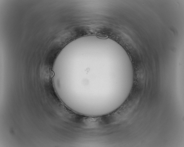 X0000111860129200908061343