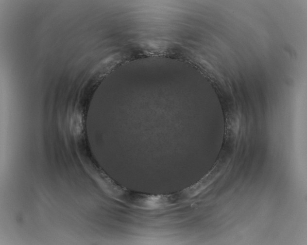 X0000111860130200908061343