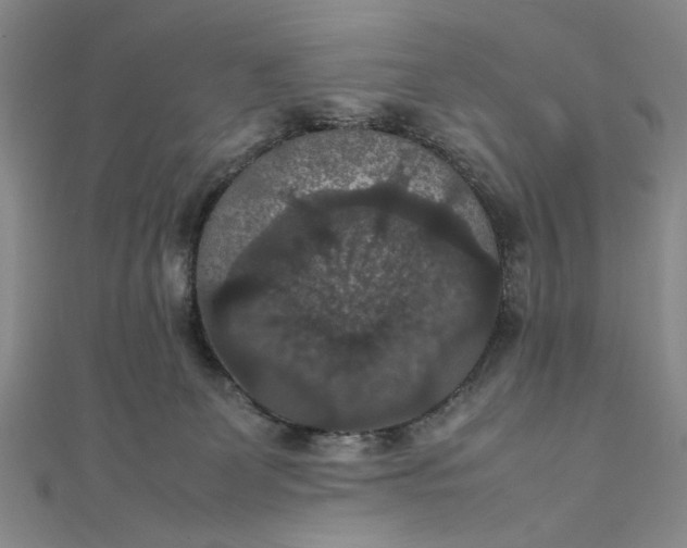 X0000111860131200908061343