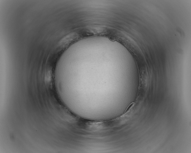 X0000111860132200908061343