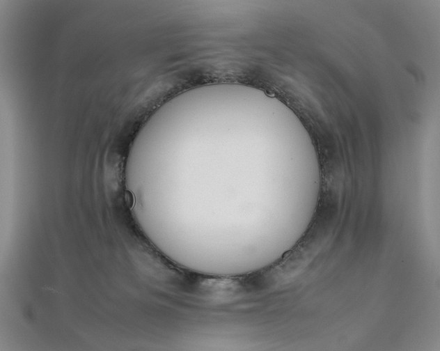 X0000111860133200908061343