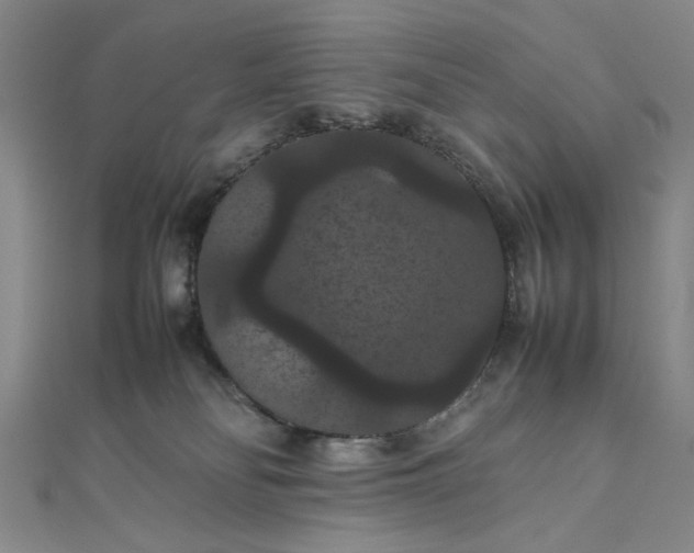 X0000111860134200908061343