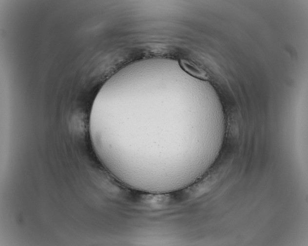 X0000111860135200908061343