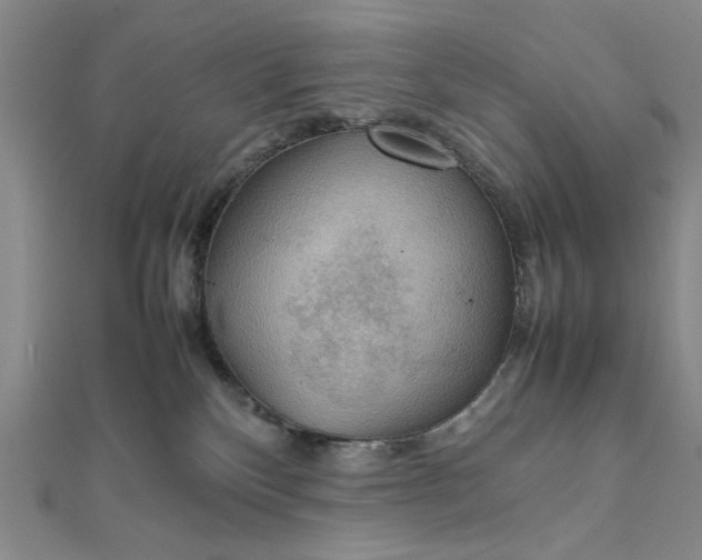 X0000111860136200908061343