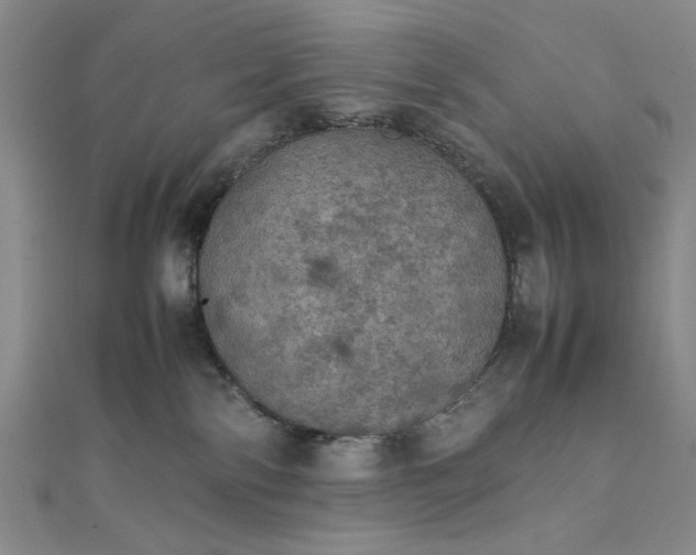 X0000111860138200908061343