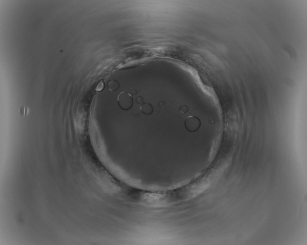 X0000111860139200908061343