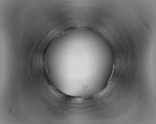 X0000111860140200908061343