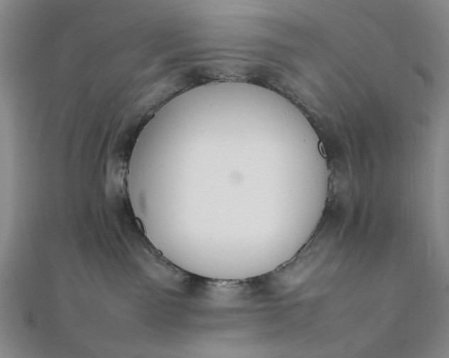 X0000111860141200908061343