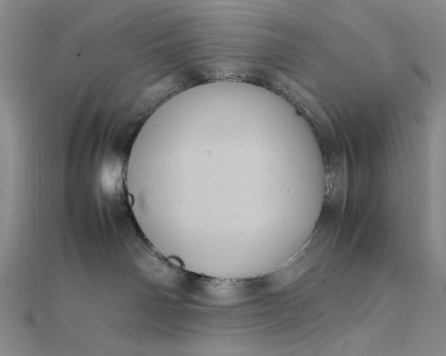 X0000111860142200908061343