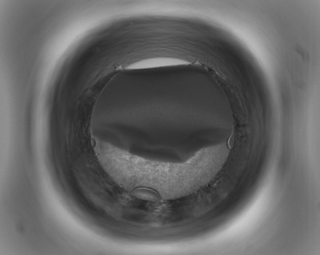 X0000111860143200908061343