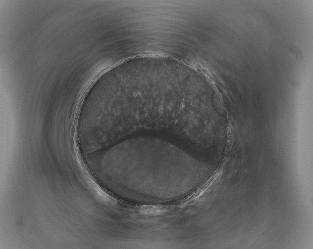 X0000111860145200908061343