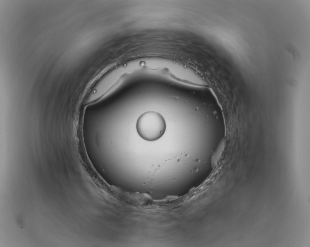 X0000111860146200908061343