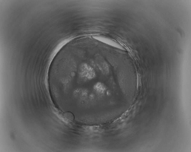 X0000111860147200908061343