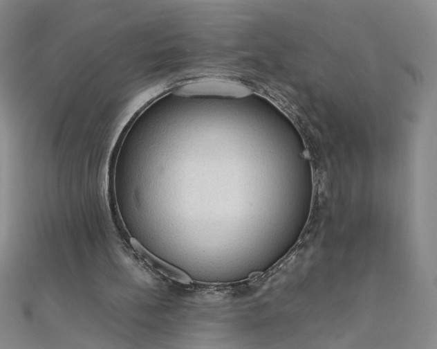 X0000111860148200908061343