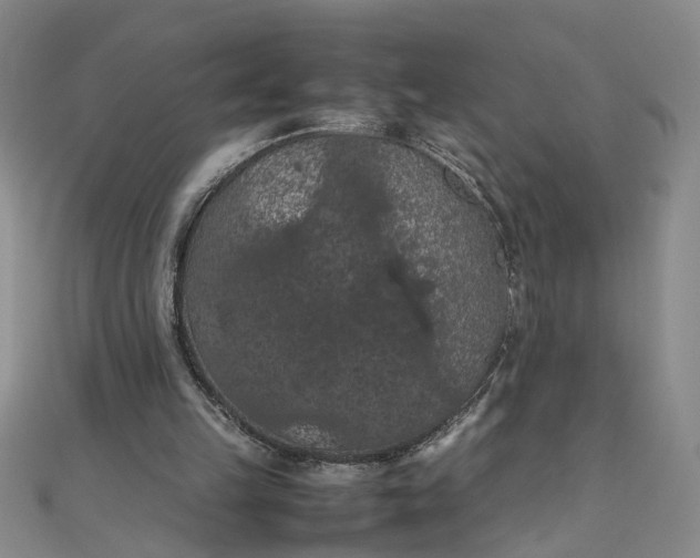 X0000111860149200908061343