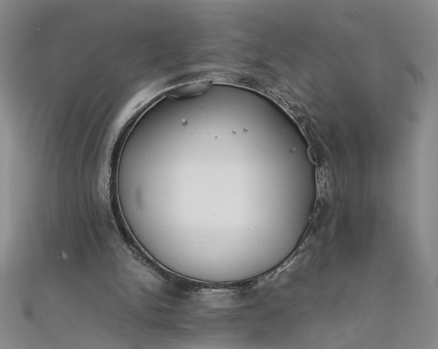 X0000111860150200908061343